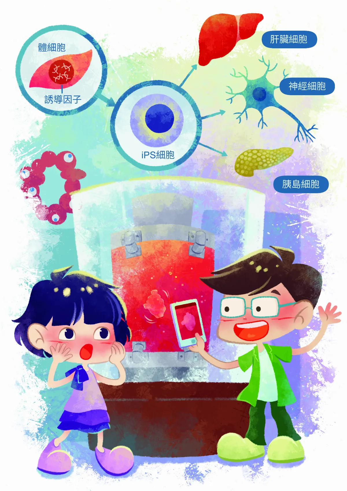 iPS細胞 創造人工心臟