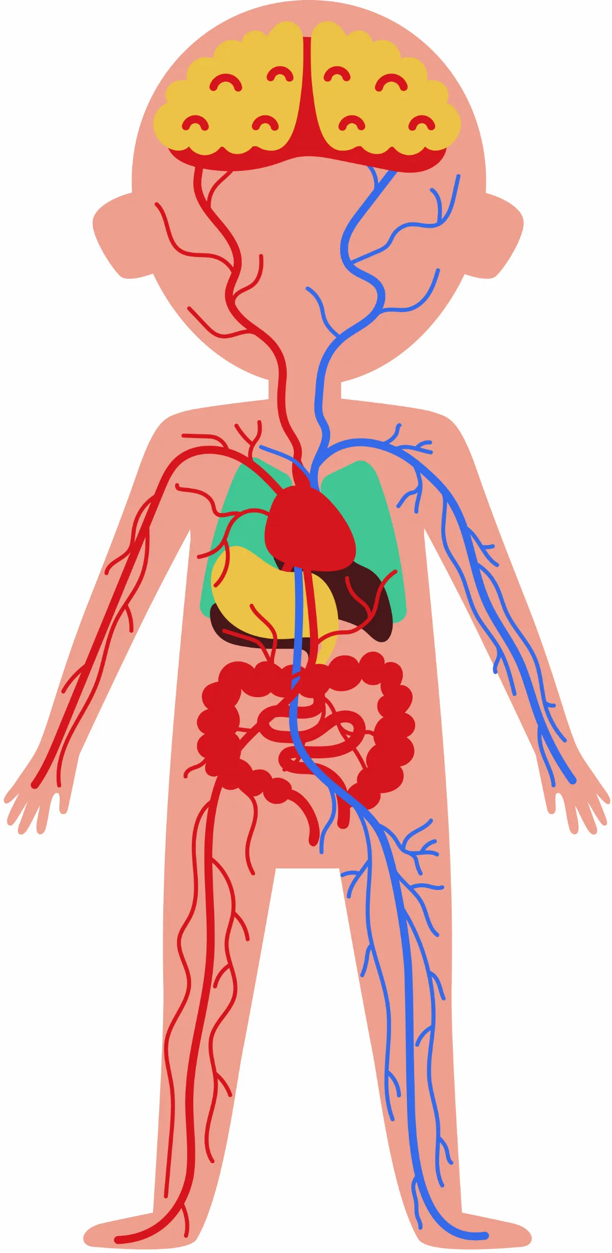 迷走神經 影響心理健康