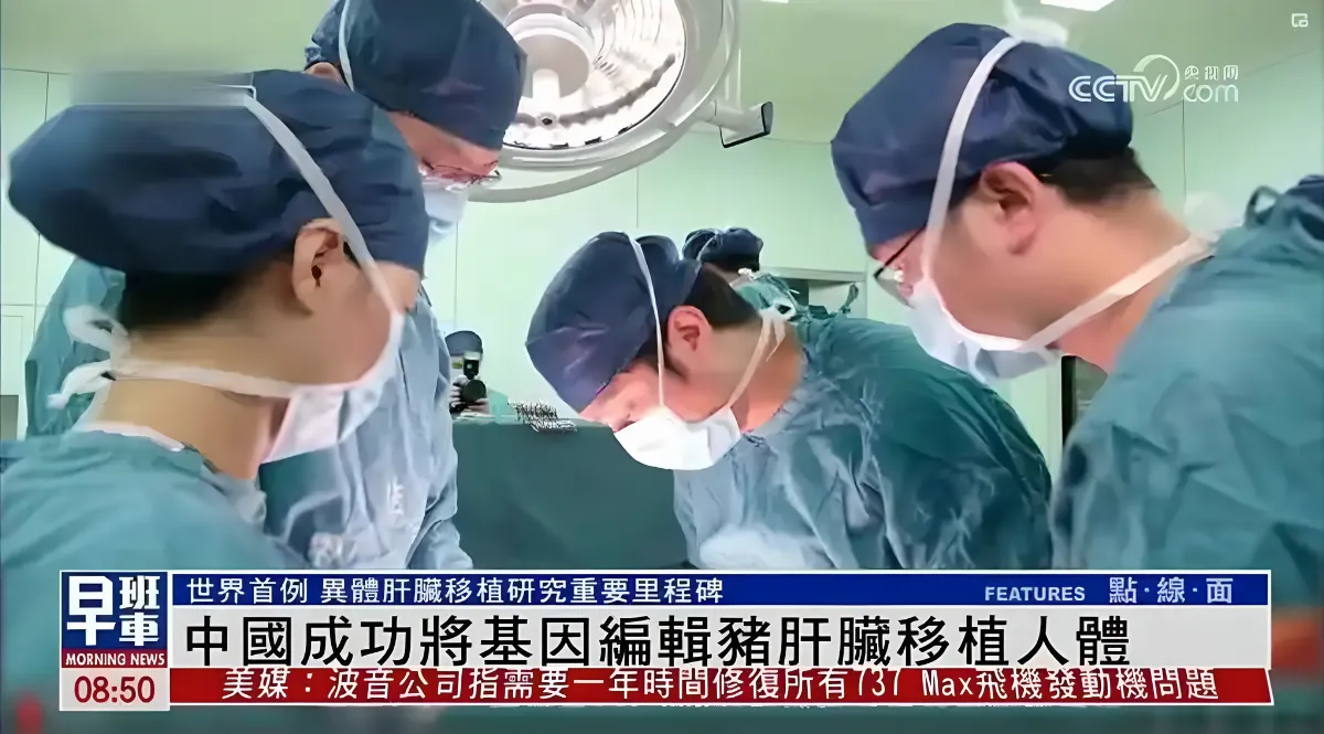 世界首例 大陸將基因編輯豬肺移植人體