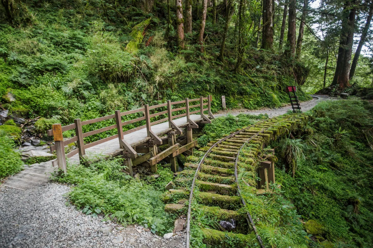 【歷史點滴】宜蘭太平山林業開發與交通運輸 （上）