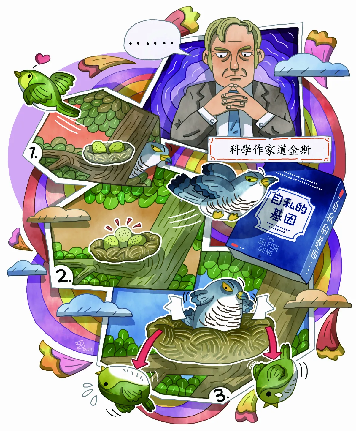 寄生上流布穀鳥