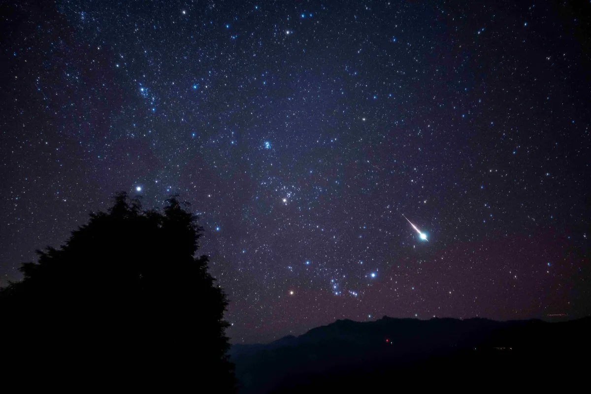 阿里山秋冬追星趣 體驗銀河生態之美