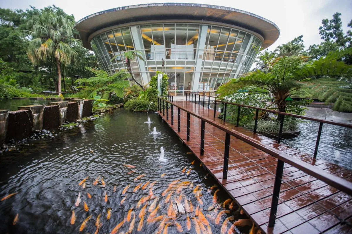 台東原生應用植物園將全面禁菸 違者最高罰1萬元
