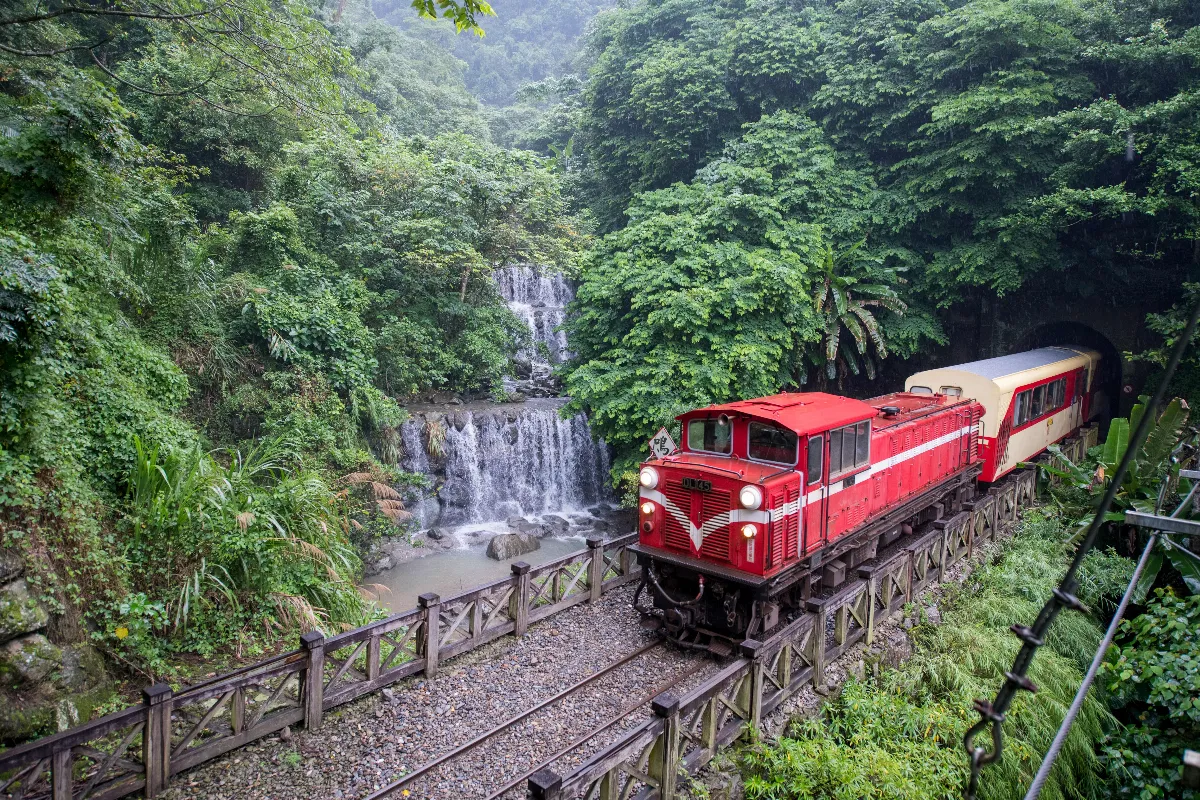 發揚百年鐵道文化   阿里山森林鐵道推特色列車