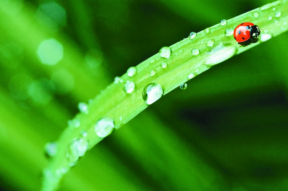 陪她慢慢走 一場雨中的即興旅行