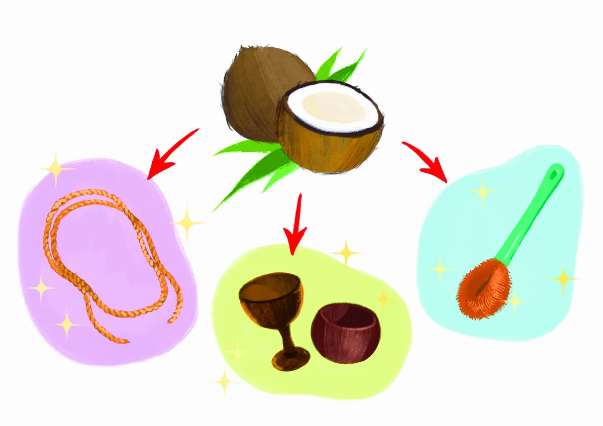 【世界好奇妙】小椰子，大發現