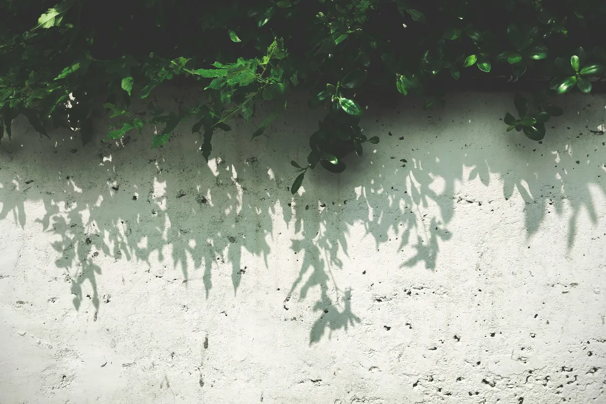 【人間情味】對不起，嚇到你
