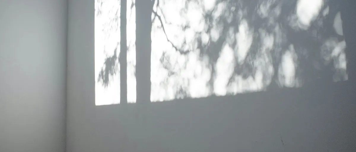 【心有所感】珍惜 美好生命