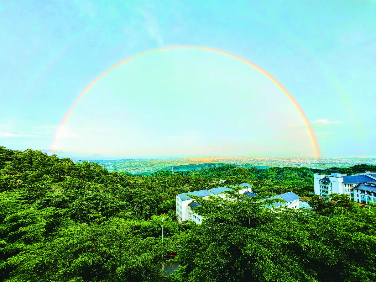【光影哲思】一日一龜一學校
