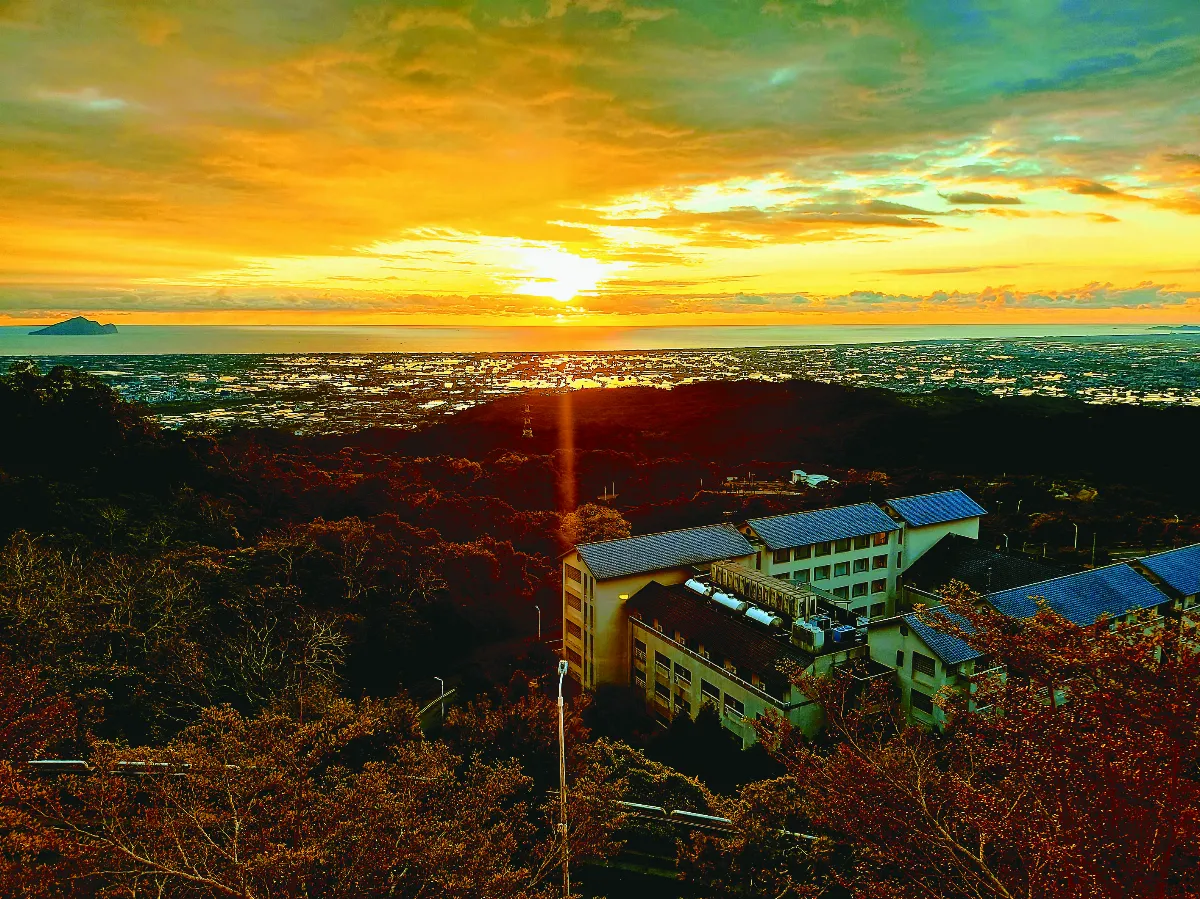 【光影哲思】一日一龜一學校