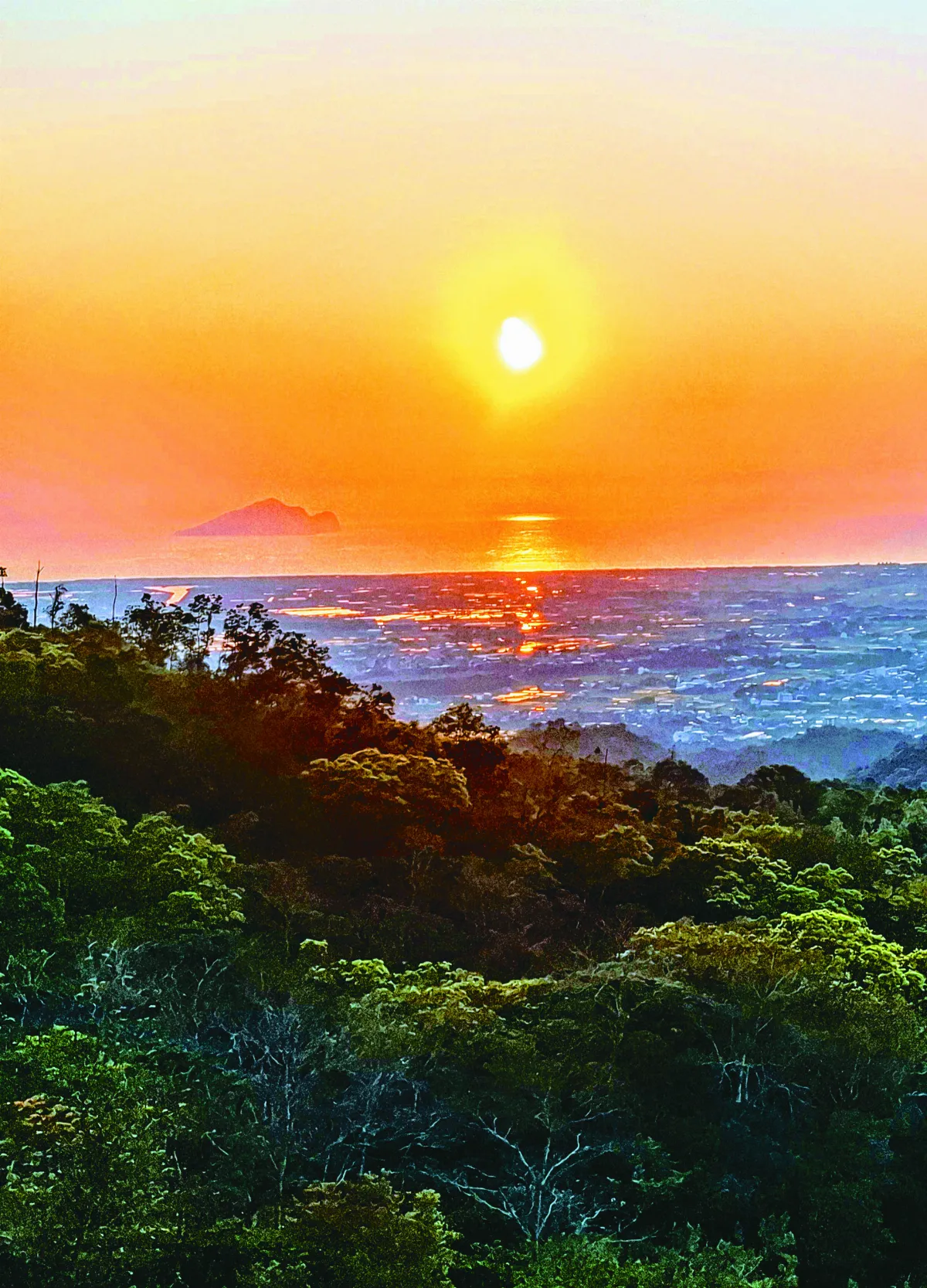 【光影哲思】一日一龜一學校