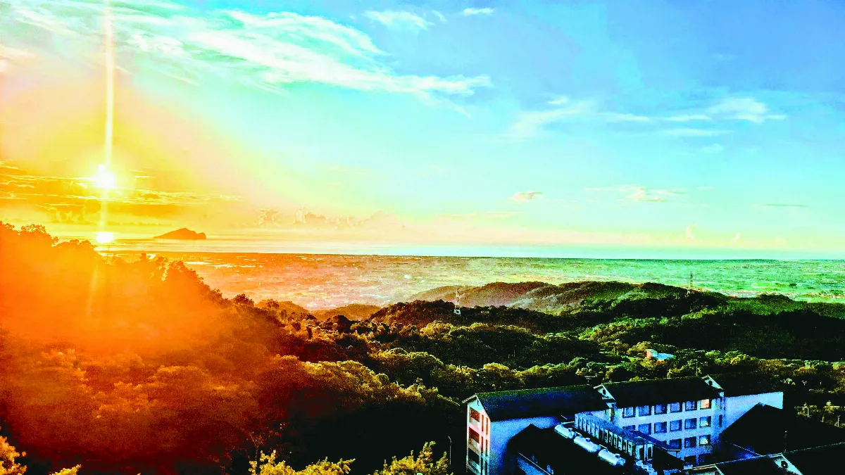 【光影哲思】一日一龜一學校