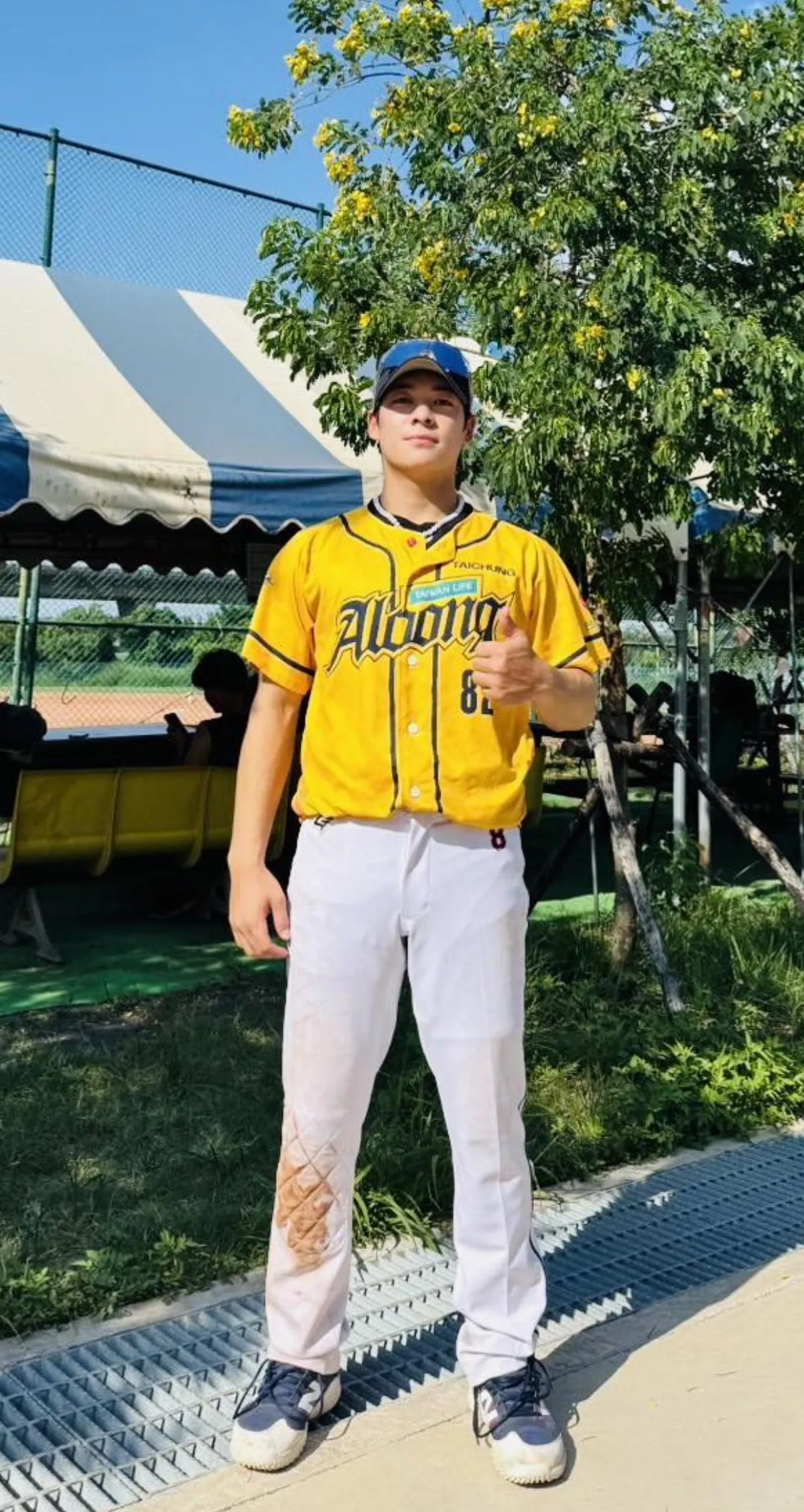 棒球／具韓職資歷 台裔劉祥斌加盟台壽霸龍隊