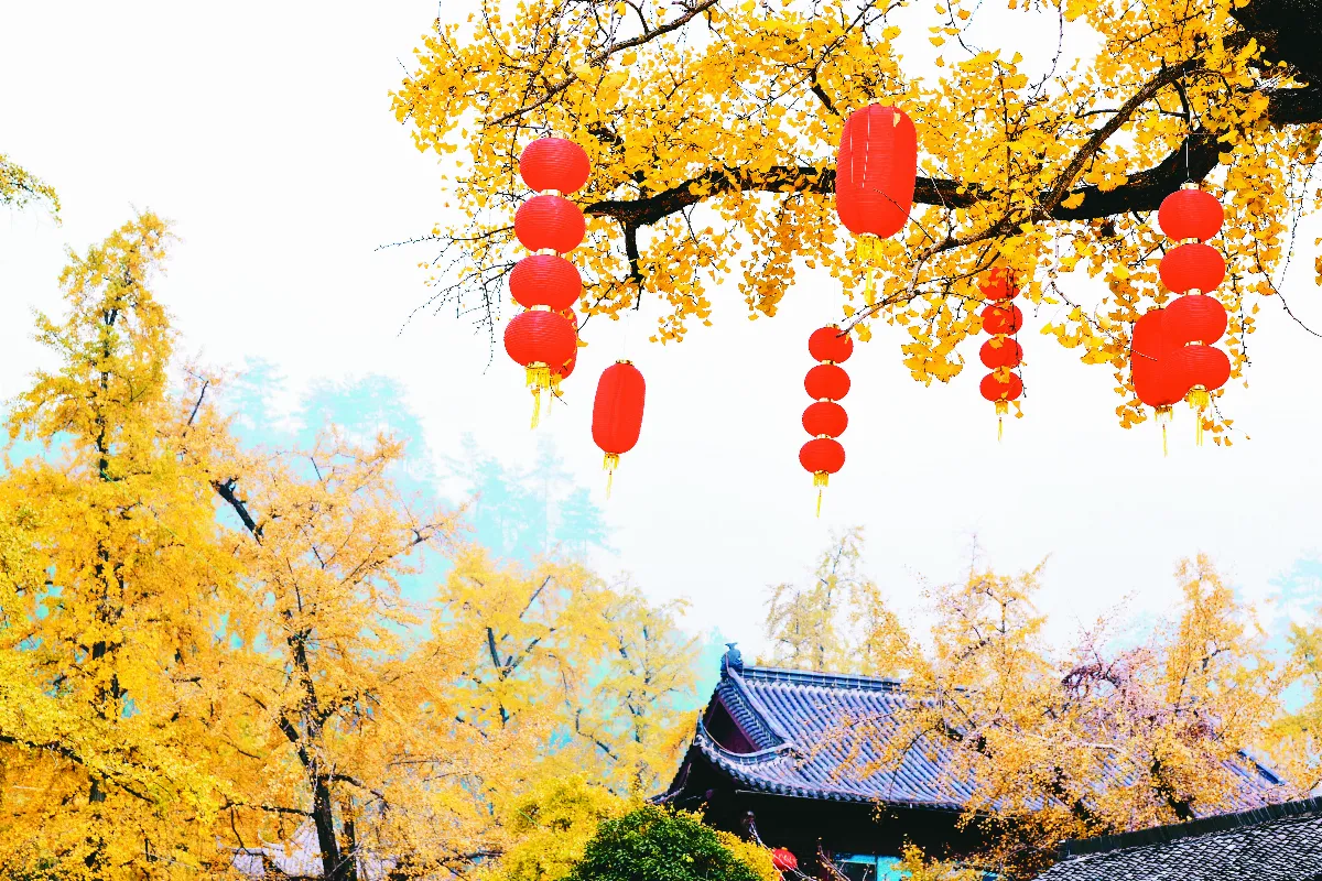 星雲大師全集【講演集】佛教與生活—生活與修持 8-3