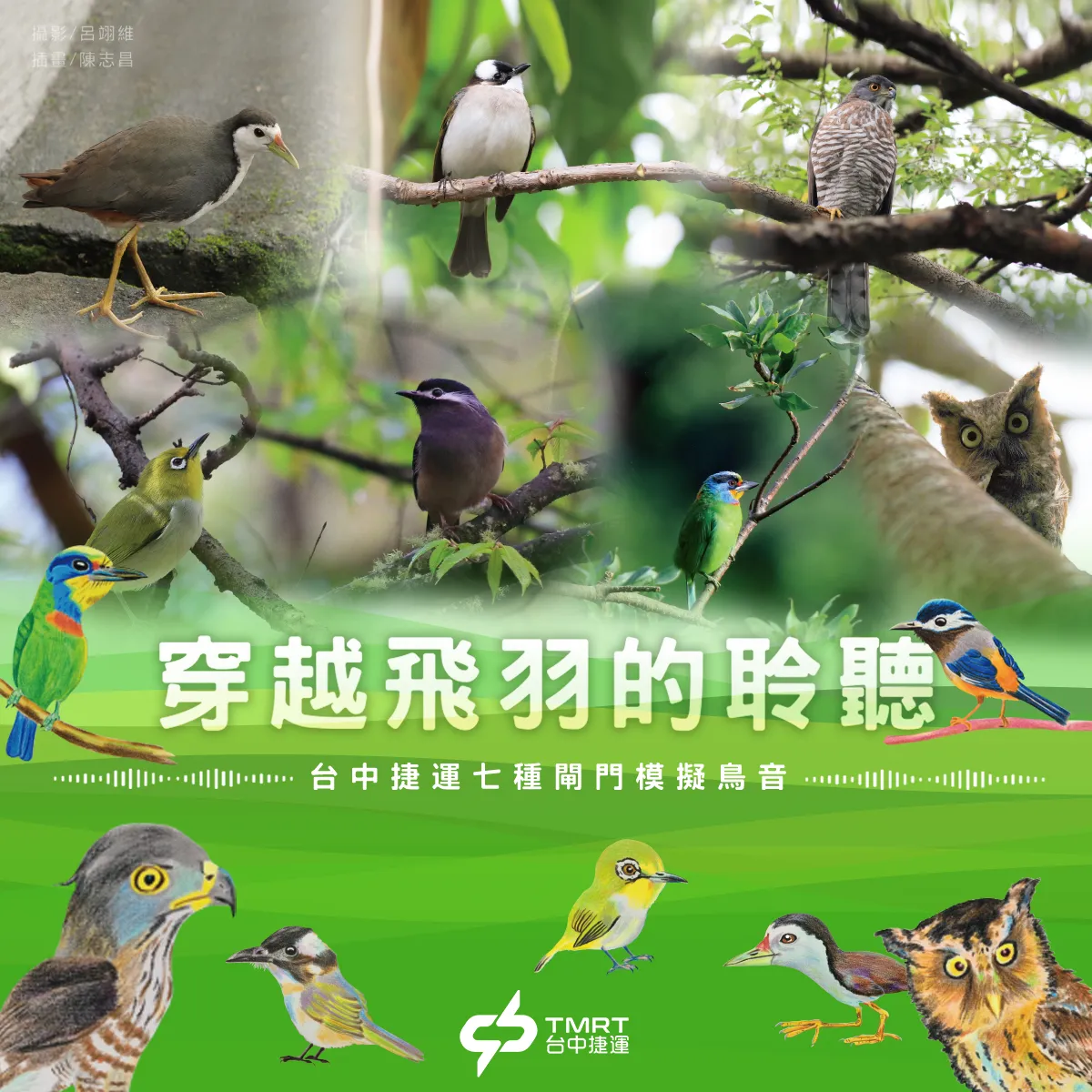 讓自然走進城市 中捷首創閘門鳥鳴音