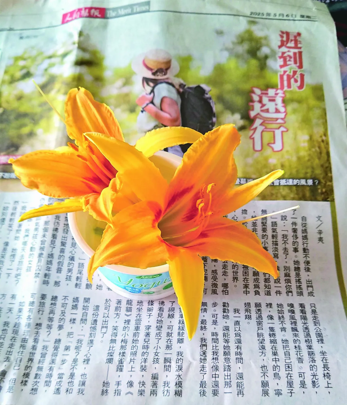 【日常幸福】花開有聲 靜好如初