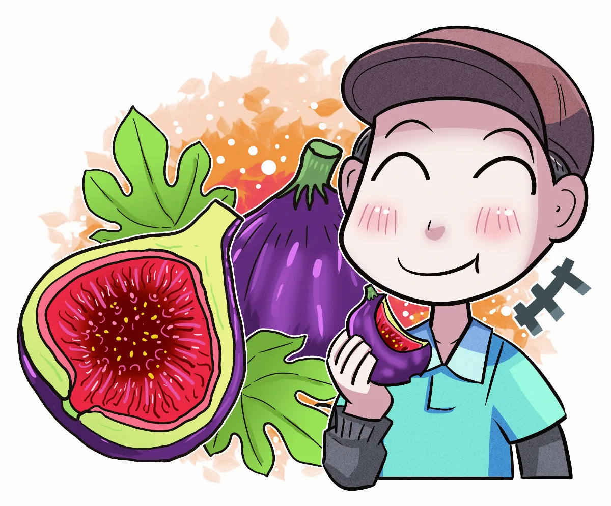 奇妙有趣 無花果