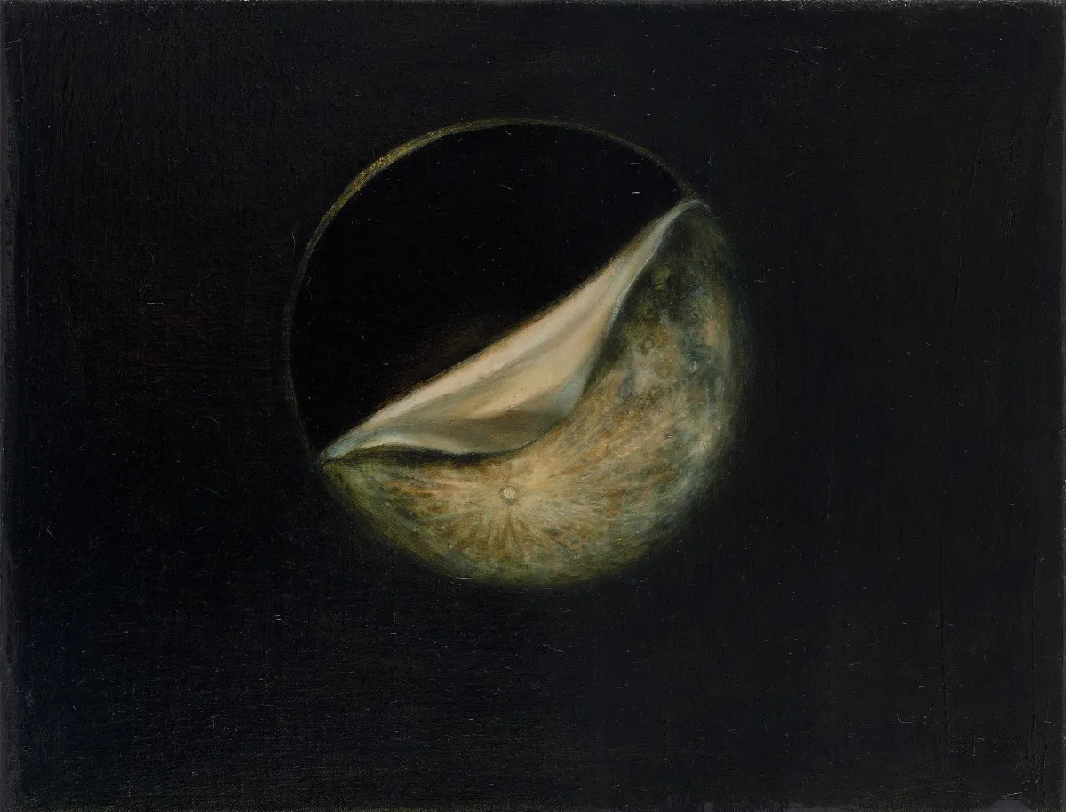 白晝之夜10周年11/1圓山登場 以「Hi Story」說城市故事