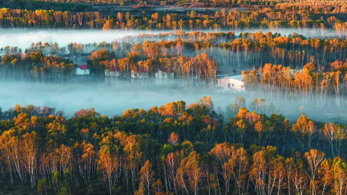 壩上草原秋景