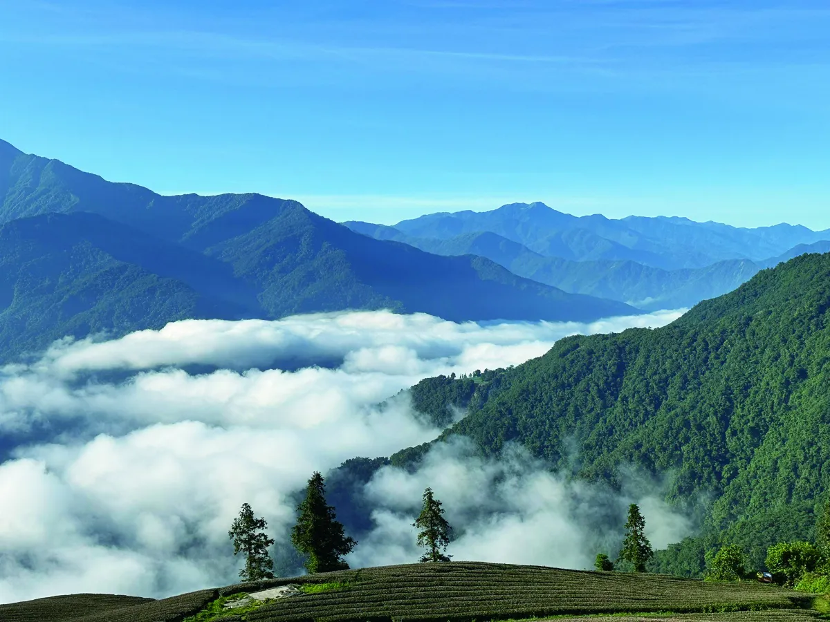 【海闊天空】一窺雲的故鄉 武界祕境之旅