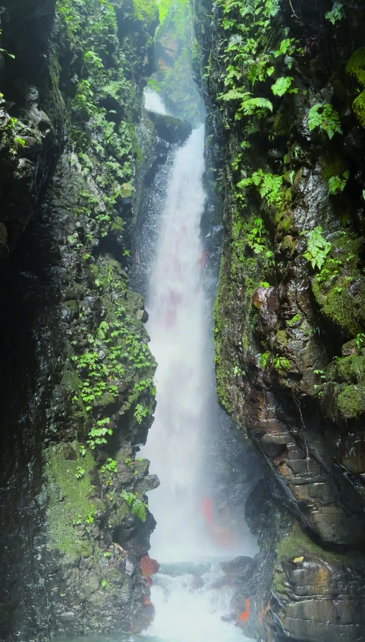 【海闊天空】一窺雲的故鄉 武界祕境之旅