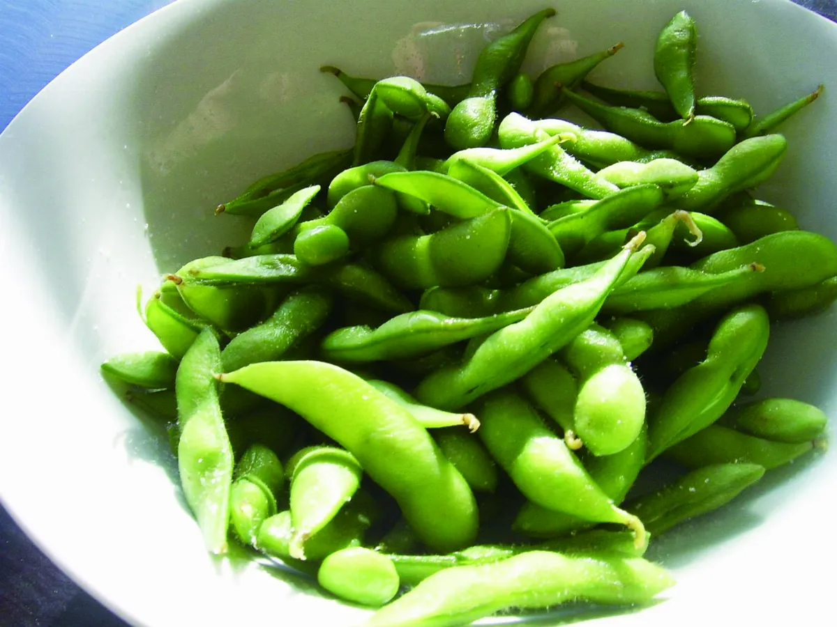 【時食有味】從前有顆小毛豆