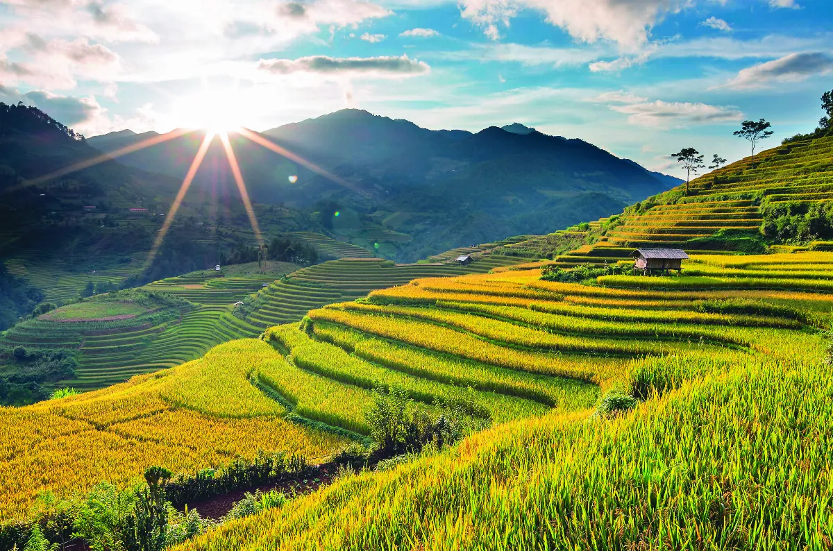 星雲大師全集【講演集】禪學與淨土—禪師與禪詩 6-1