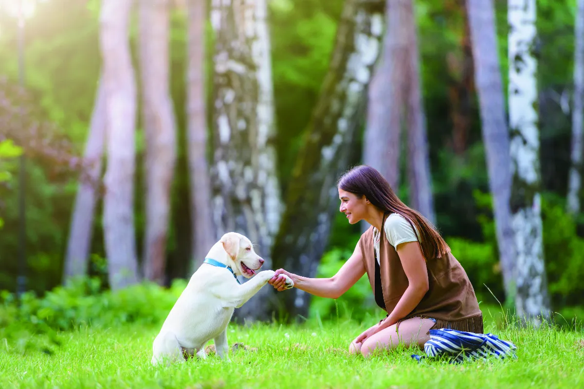 探索寵物溝通現象