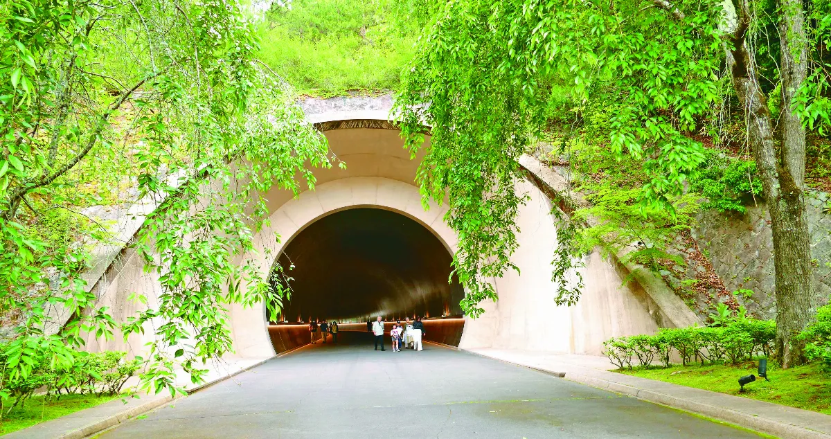 【優游藝林】探訪藝術桃花源：MIHO美術館  