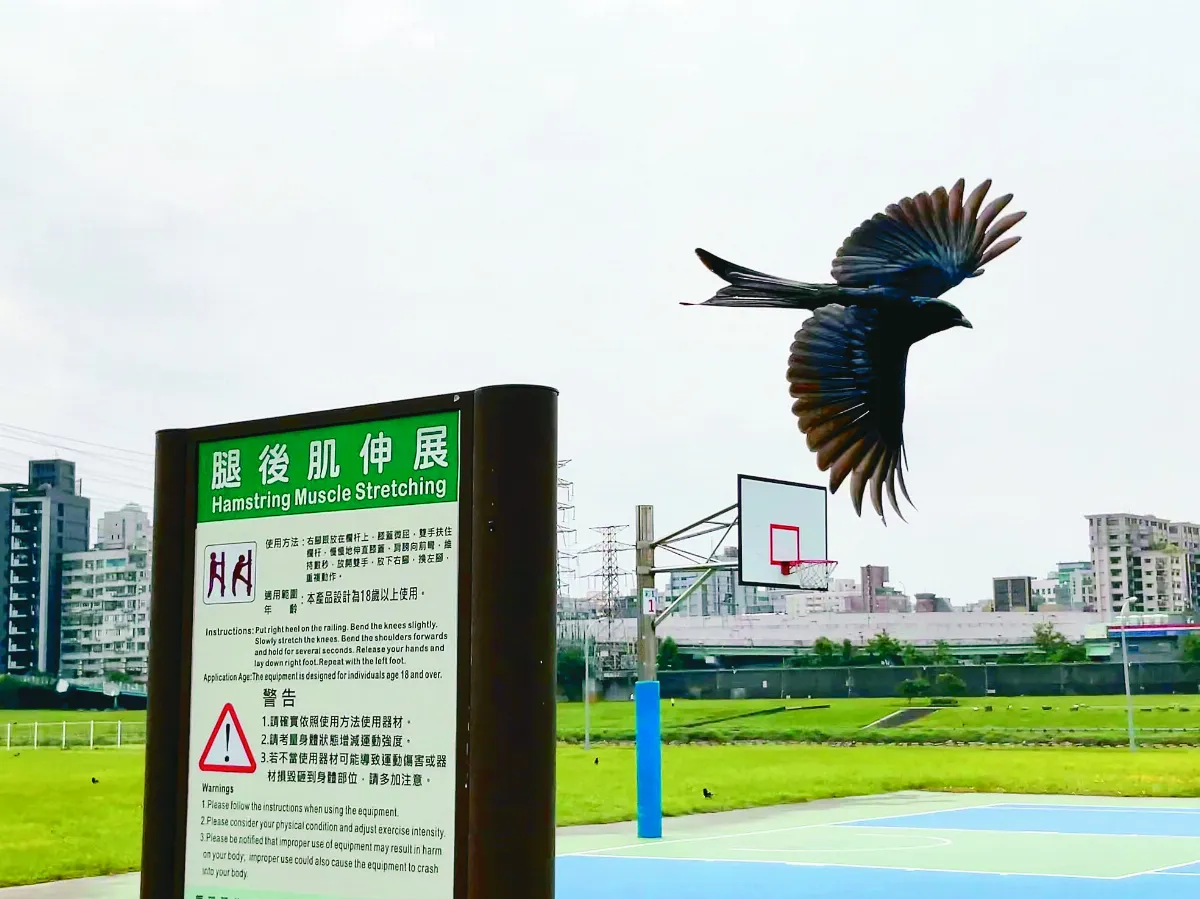 【生活快門】健身示範