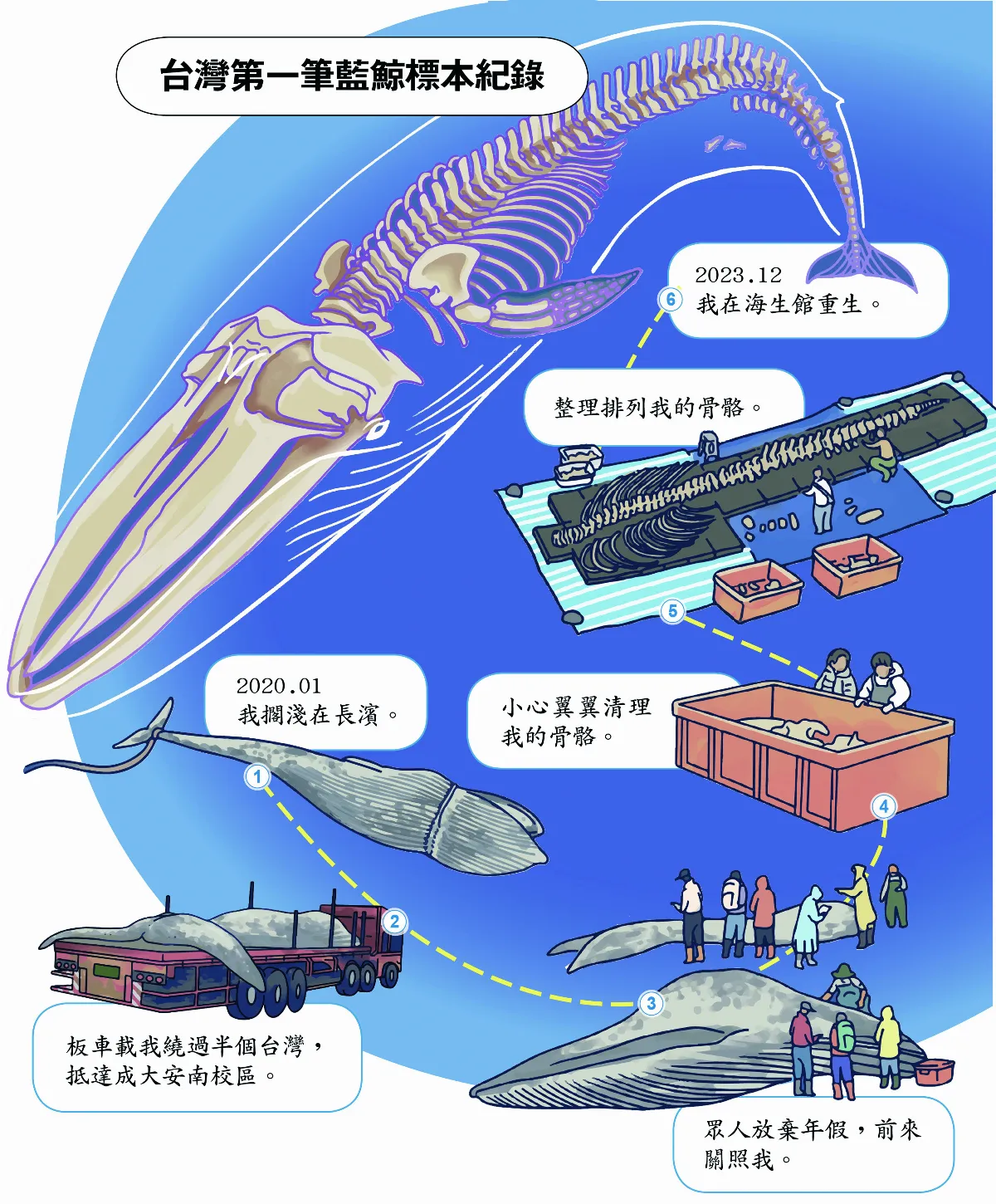 【玉子手札】擱淺藍鯨 重生獨白