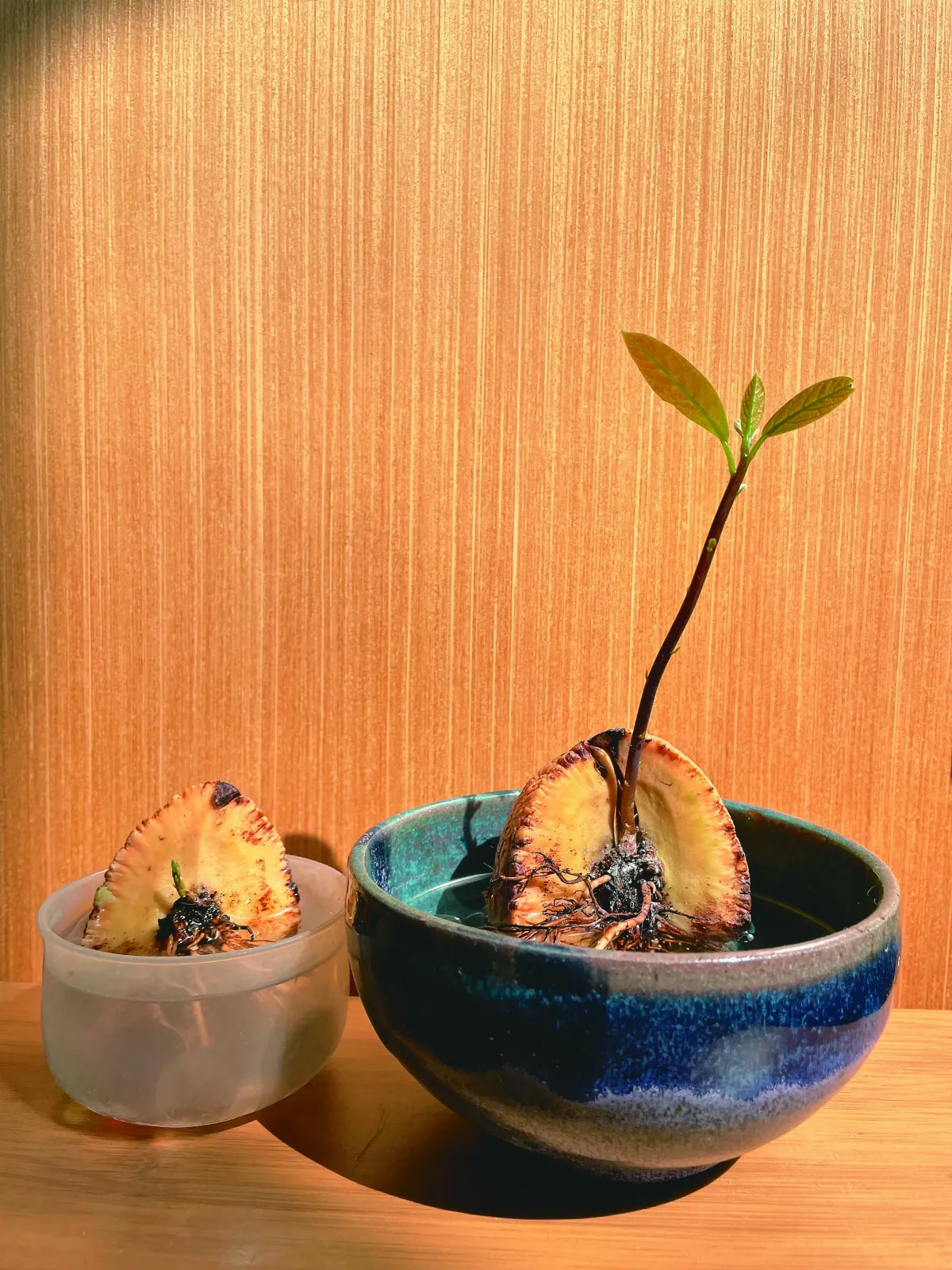 【生之喜悅】兩個一半  快樂成雙