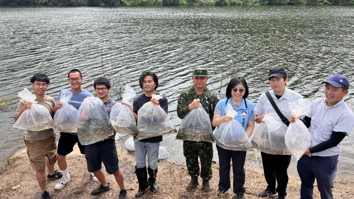 全球僅存「大鱗梅氏鯿」 金門成功復育野放