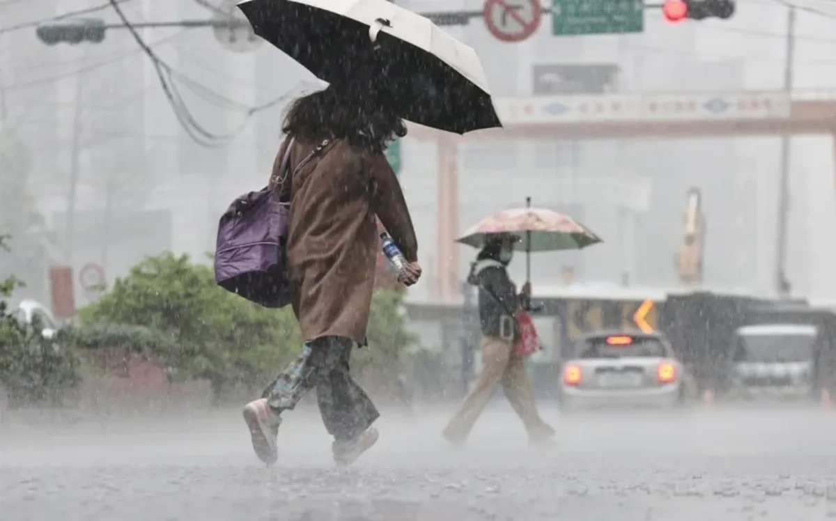 颱風與東北季風共伴   下周「3地區」防豪雨等級以上降雨