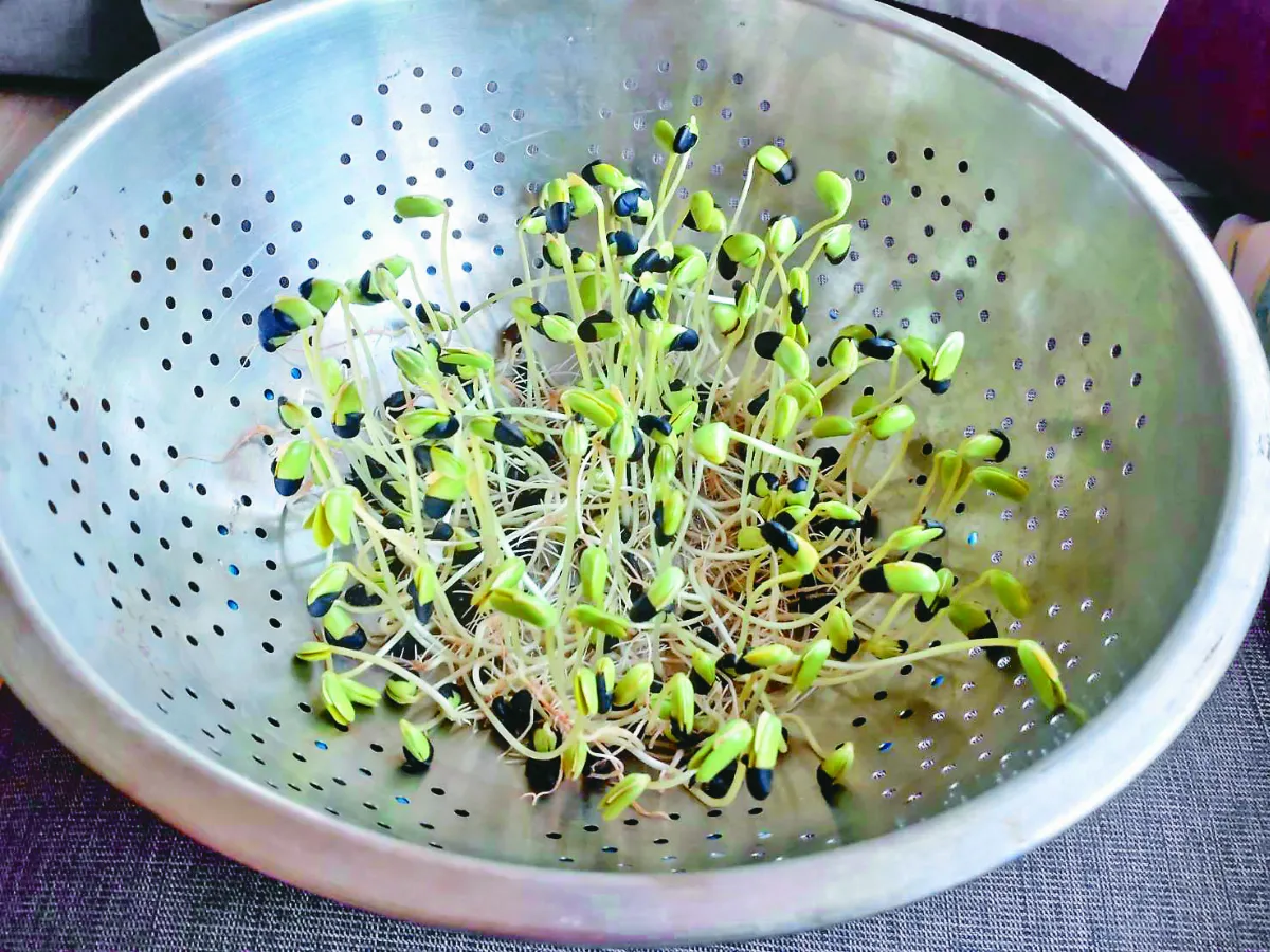 【蔬食樂活】黑豆煮不爛的啟示