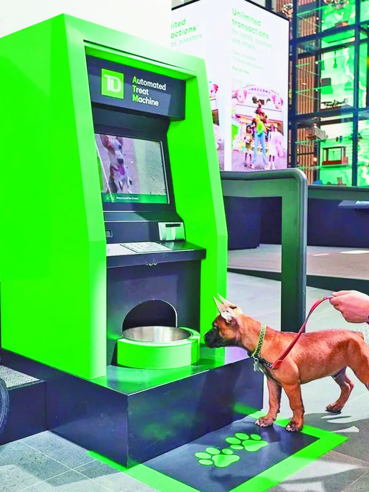 狗狗專屬ATM  毛孩樂領點心