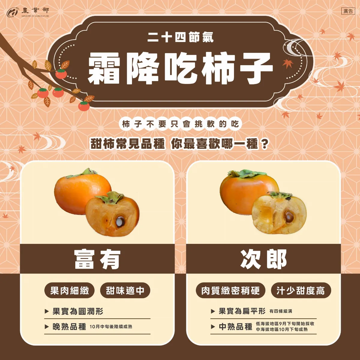 抓住秋天的尾巴 吃秋柿當季又養生