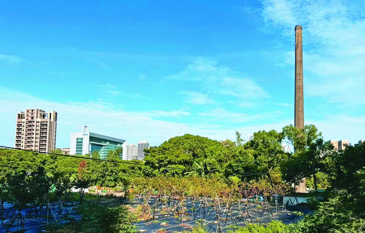 【歷史點滴】林口的蛻變 從茶園、磚廠到新市鎮崛起