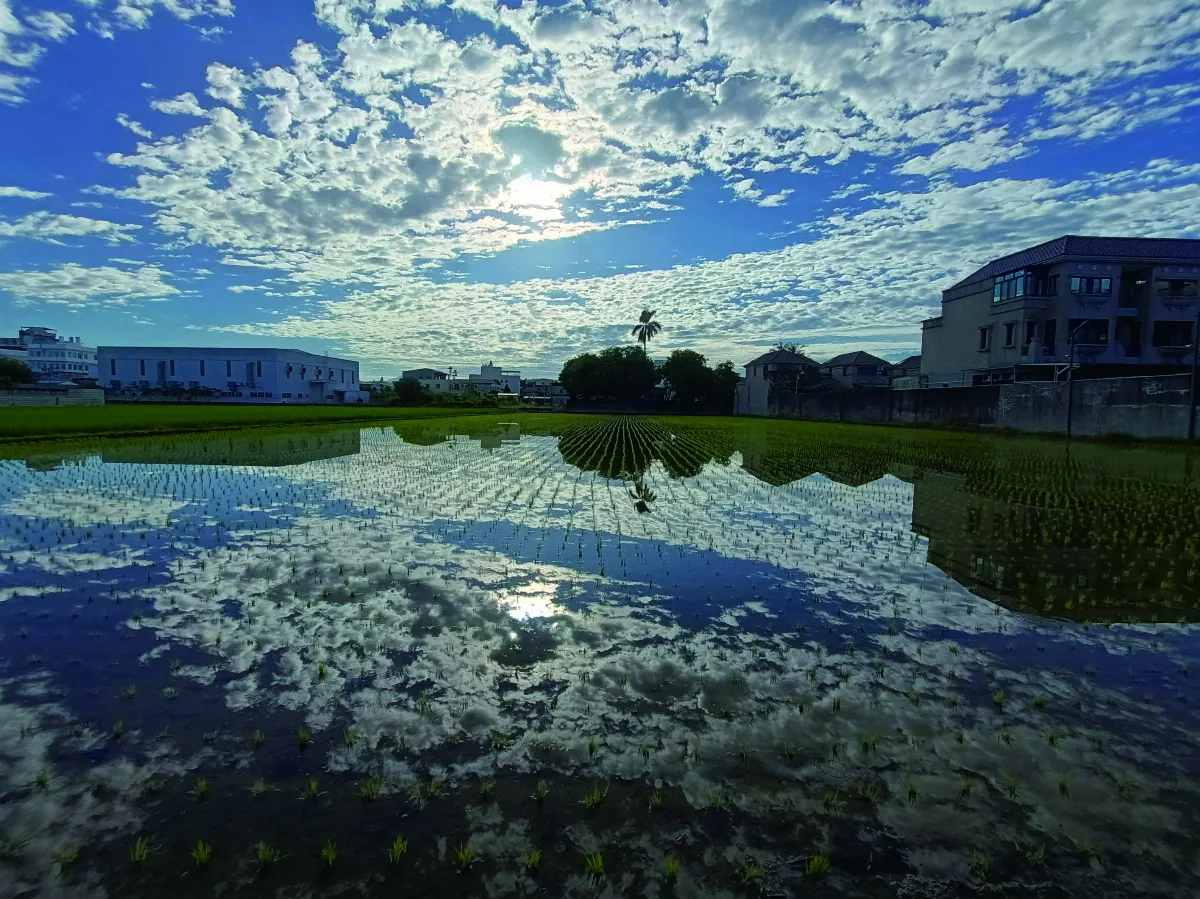 【生活快門】田園風光