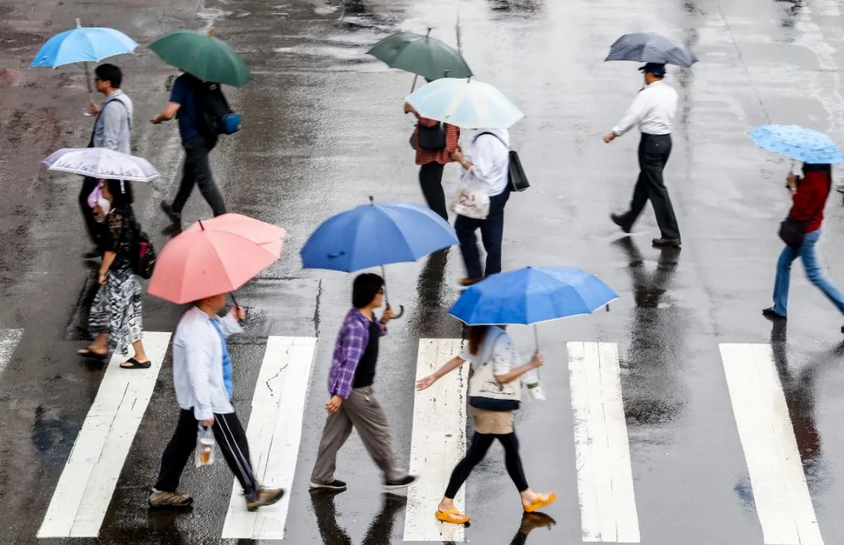 東北季風增強 26日北、東北部天氣轉涼