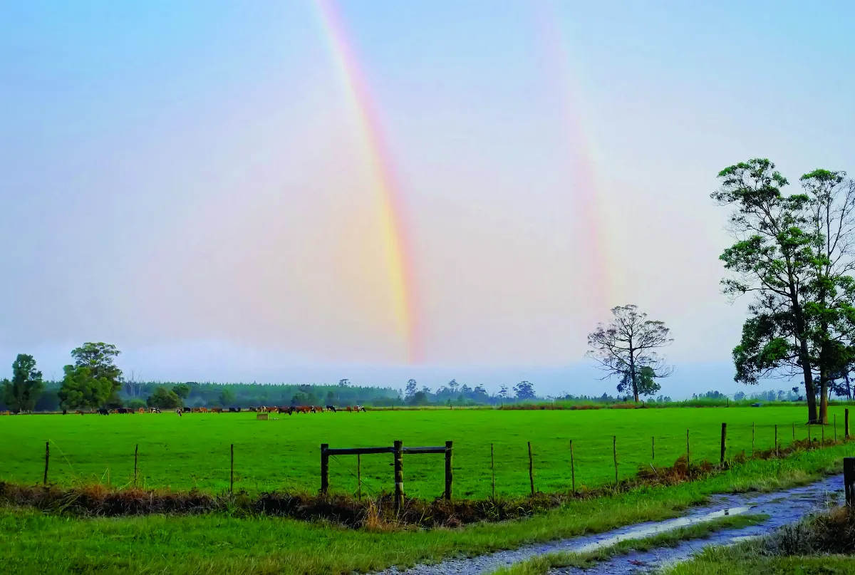 星雲大師全集⑲【佛教管理學②】禪門的管理法③