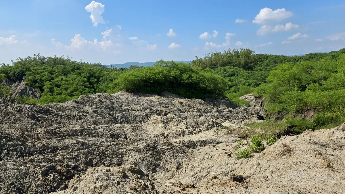 與惡地林共存 從地景中找回韌性及生活智慧