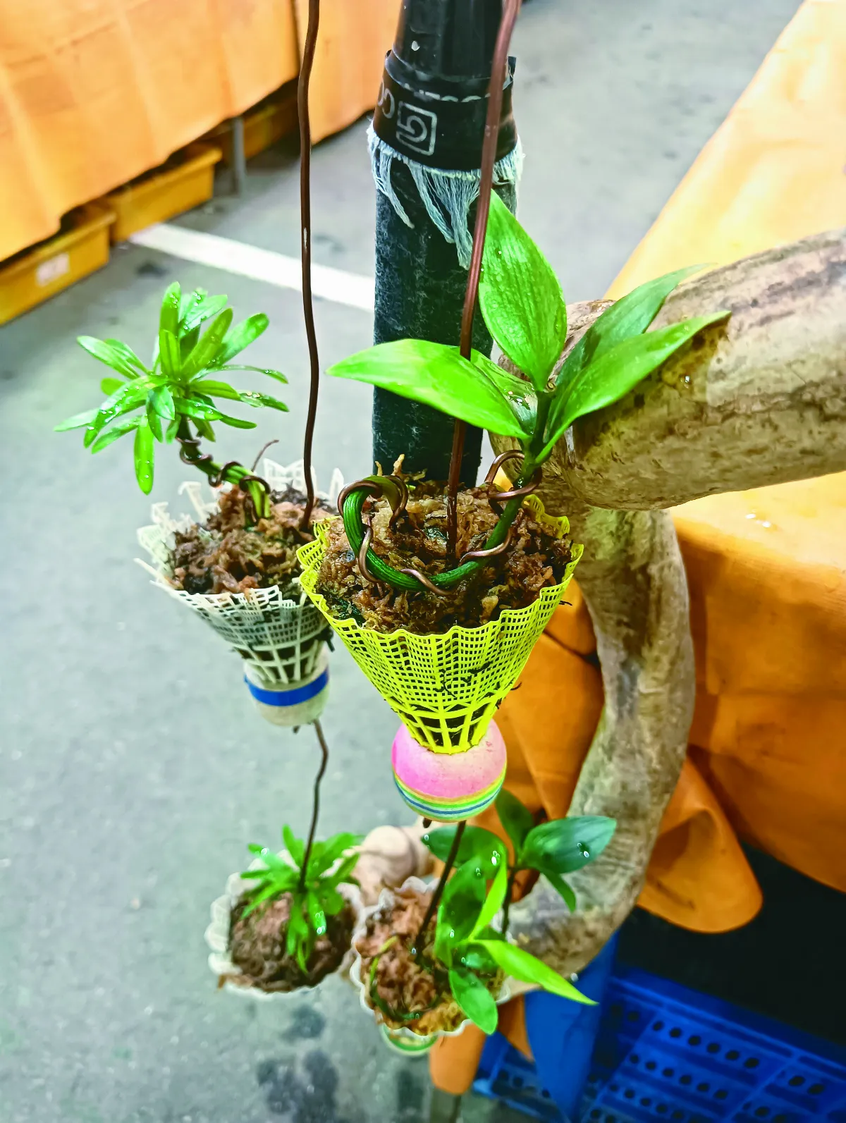 【生活快門】羽球花器 不錯喔