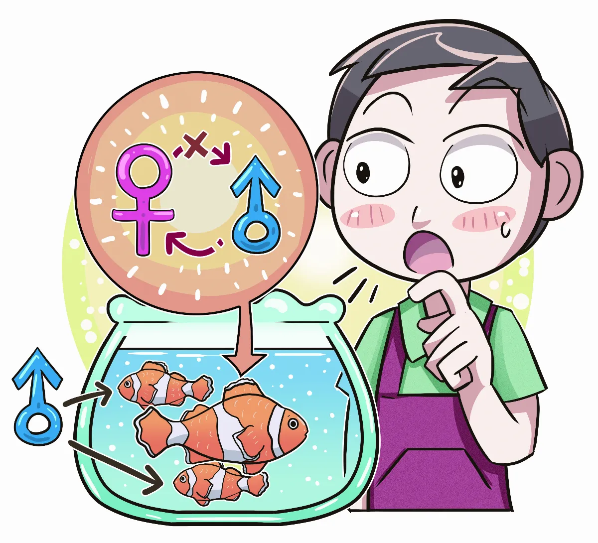 什麼動物不以染色體決定性別？