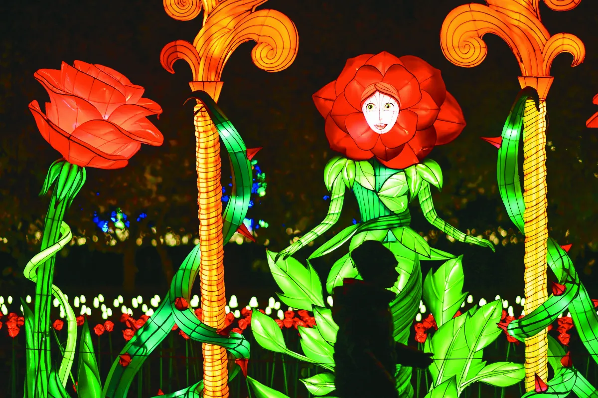 波蘭「光之花園」燈光展