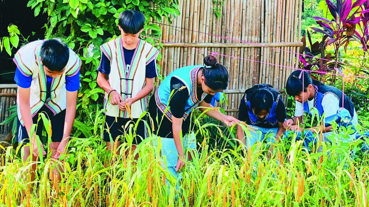 花蓮．卓溪 山靈共舞八通關 人熊和諧潤心灣