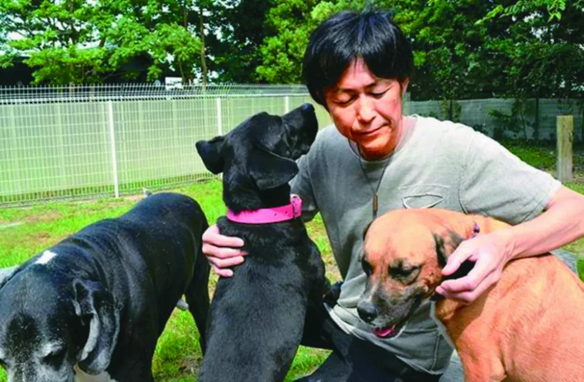 愛犬救命  飼主創收容所回報毛孩