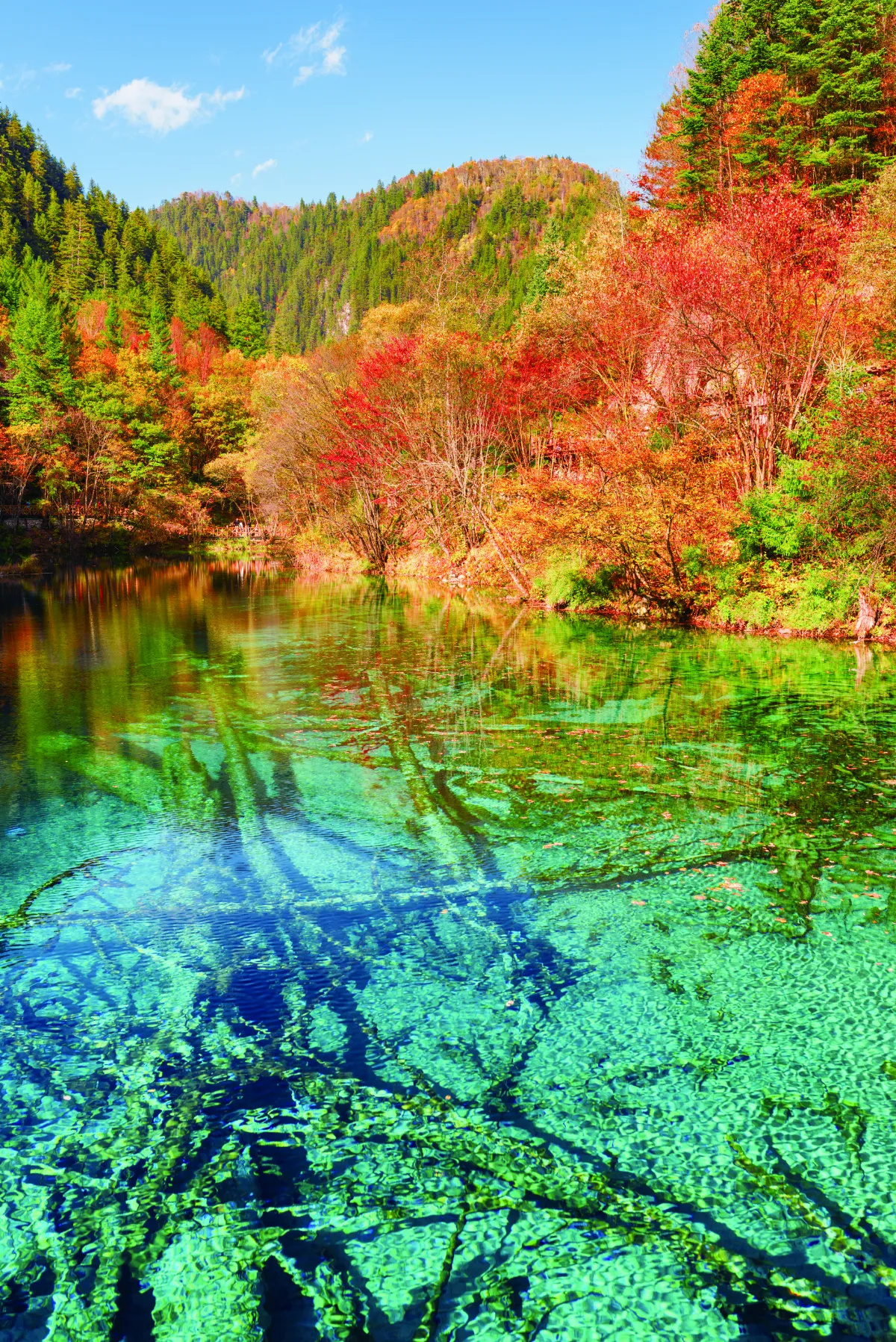 星雲大師全集【傳記】百年佛緣─生活篇 我的衣食住行 5-5