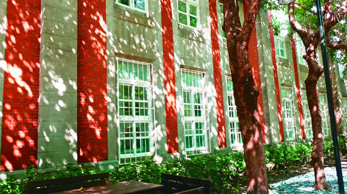 【時光映象】光陰日記