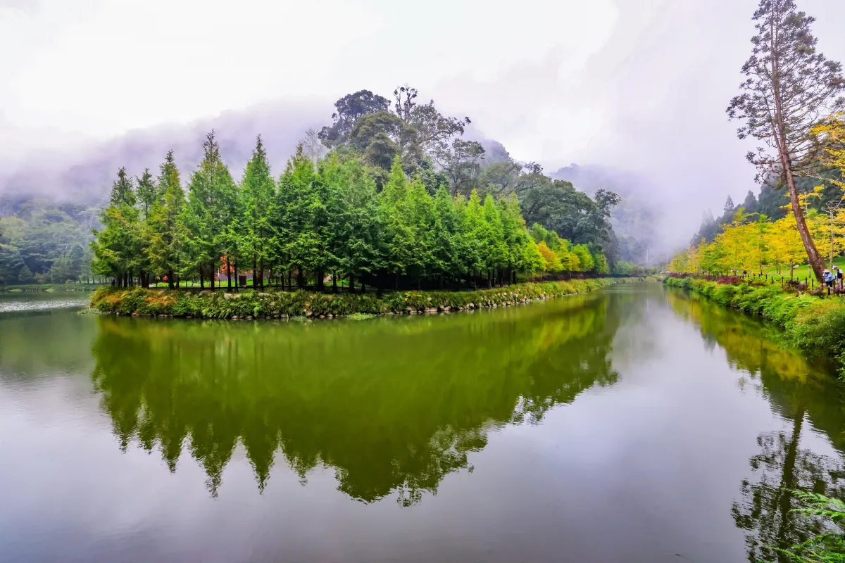 【秋憶杉林溪】今年的湖畔冷嗎